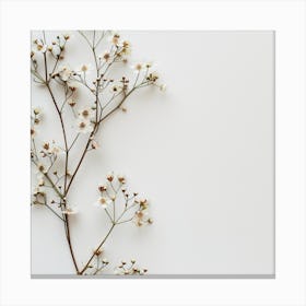 White Flowers On White Background Canvas Print