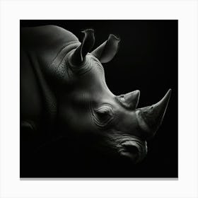 Rhinoceros 5 Canvas Print