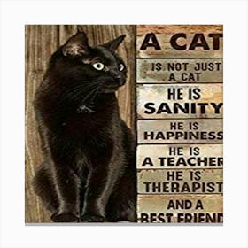 Black Cat Sanity Canvas Print