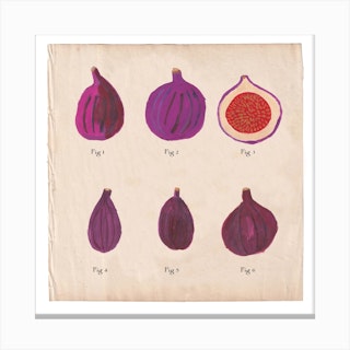 Fig Chart Square Canvas Print
