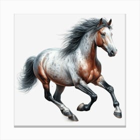 Horse Galloping Canvas Print