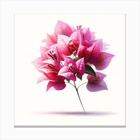 Pink Bougainvillea Flowers Canvas Print