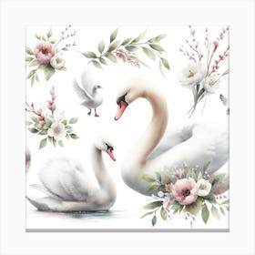 Swans 4 Canvas Print