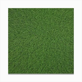 Grass Background 19 Canvas Print