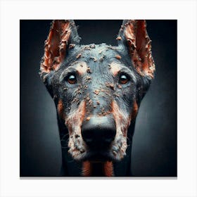 Old Dog 05 Canvas Print