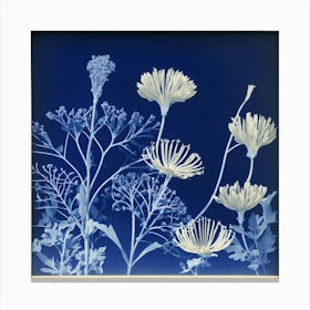 A Gallery Art Photography In Style Anna Atkins Canvas Print