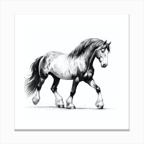 Clydesdale Horse Canvas Print