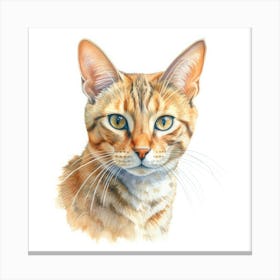 Cheetoh Cat Portrait 3 Canvas Print