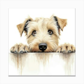 Soft Coated Wheaten Terrier 3 Canvas Print