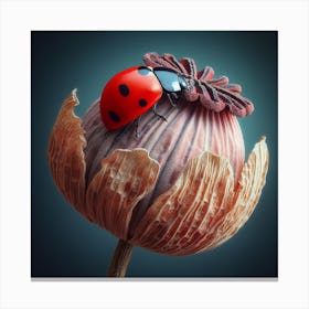 Poppy Seed Head and Ladybird 2 Canvas Print