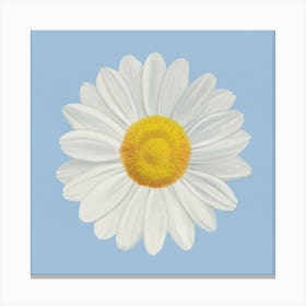 Fresh Bloom - Modern Minimalist Daisy On Blue Canvas Print