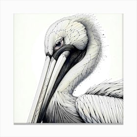 Pelican Head Creative Drawing - Wild Bird Artwork 103 Canvas Print