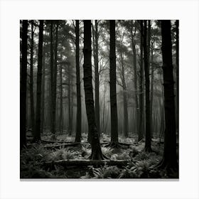 Dark Forest 114 Canvas Print