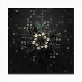 Vintage Ornithogalum Spathaceum Botanical Wreath on Dot Bokeh Pattern n.0203 Canvas Print