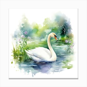 Swan In Water 4 Canvas Print