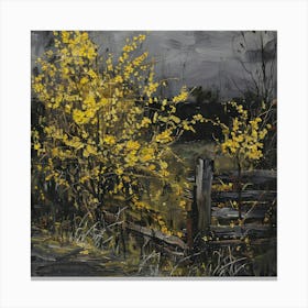 Forsythia 2 Canvas Print