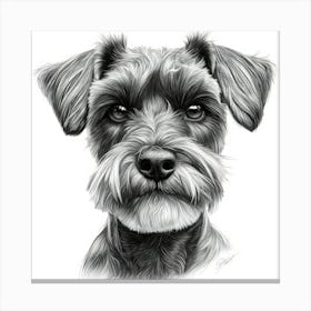 Schnauzer 1 Canvas Print