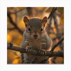 Squirrel In A Tree Canvas Print