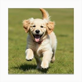 Golden Retriever Puppy Running 1 Canvas Print