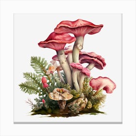 Ferns And Mushrooms Canvas Print