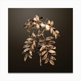 Gold Botanical Service Tree on Chocolate Brown n.2963 Canvas Print