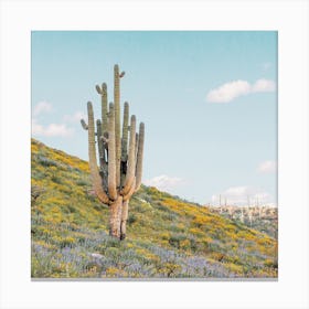 Saguaro Cactus And Wildflowers Canvas Print