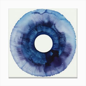 Blue Eye 1 Canvas Print