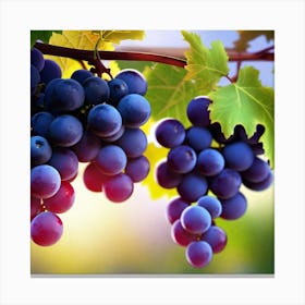 Grapes On The Vine 42 Canvas Print