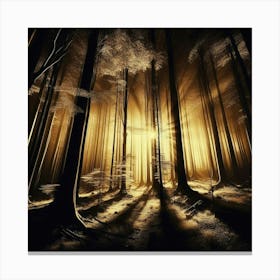 Dark Forest 17 Canvas Print