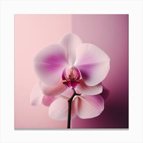 Flower of Orchid 3 Canvas Print