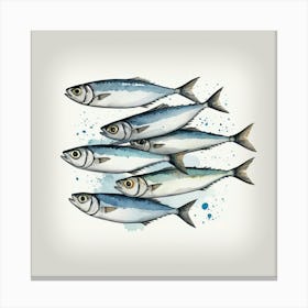 Sardines Canvas Print