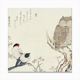 'Two Birds And An Owl' Canvas Print