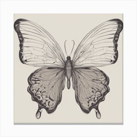 Butterfly 2 Canvas Print