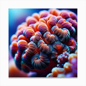 Coral Reef 2 Canvas Print