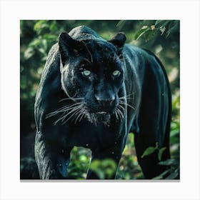 Black Panther 2 Canvas Print