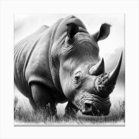 Rhinoceros drawing in charcoal Canvas Print