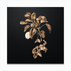 Gold Botanical Musky Pear on Wrought Iron Black n.4352 Canvas Print