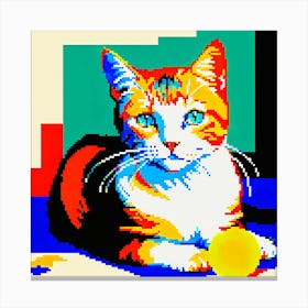 Cat With Ball Canvas Print