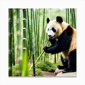 Panda Bear In Bamboo Forest Canvas Print