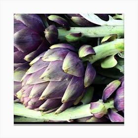 Artichoke Canvas Print