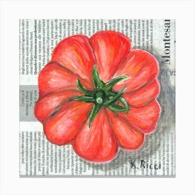 Red Tomato On Newspaper Minimal Vegetable Food Kitchen Canvas Print