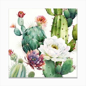 Flowering Cacti A Canvas Print