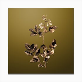Gold Botanical Andromeda Mariana Branch on Dune Yellow n.2540 Canvas Print