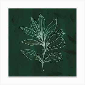 Leaf On A Green Background Canvas Print