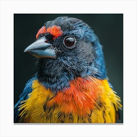 Colorful Bird 15 Canvas Print