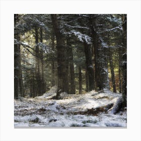 Snowy Forest Canvas Print