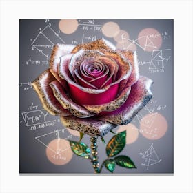 Rose With Mathematics Canvas Print