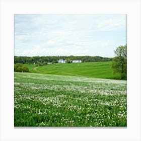 A Serene Countryside Scene In Spring A Sprawling Meadow Flushed With The Fresh Emerald Tinge Of Gra (1) Canvas Print