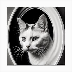 Black And White Cat Portrait Canvas Print