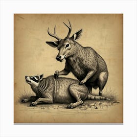 Deer And Raccoon Canvas Print